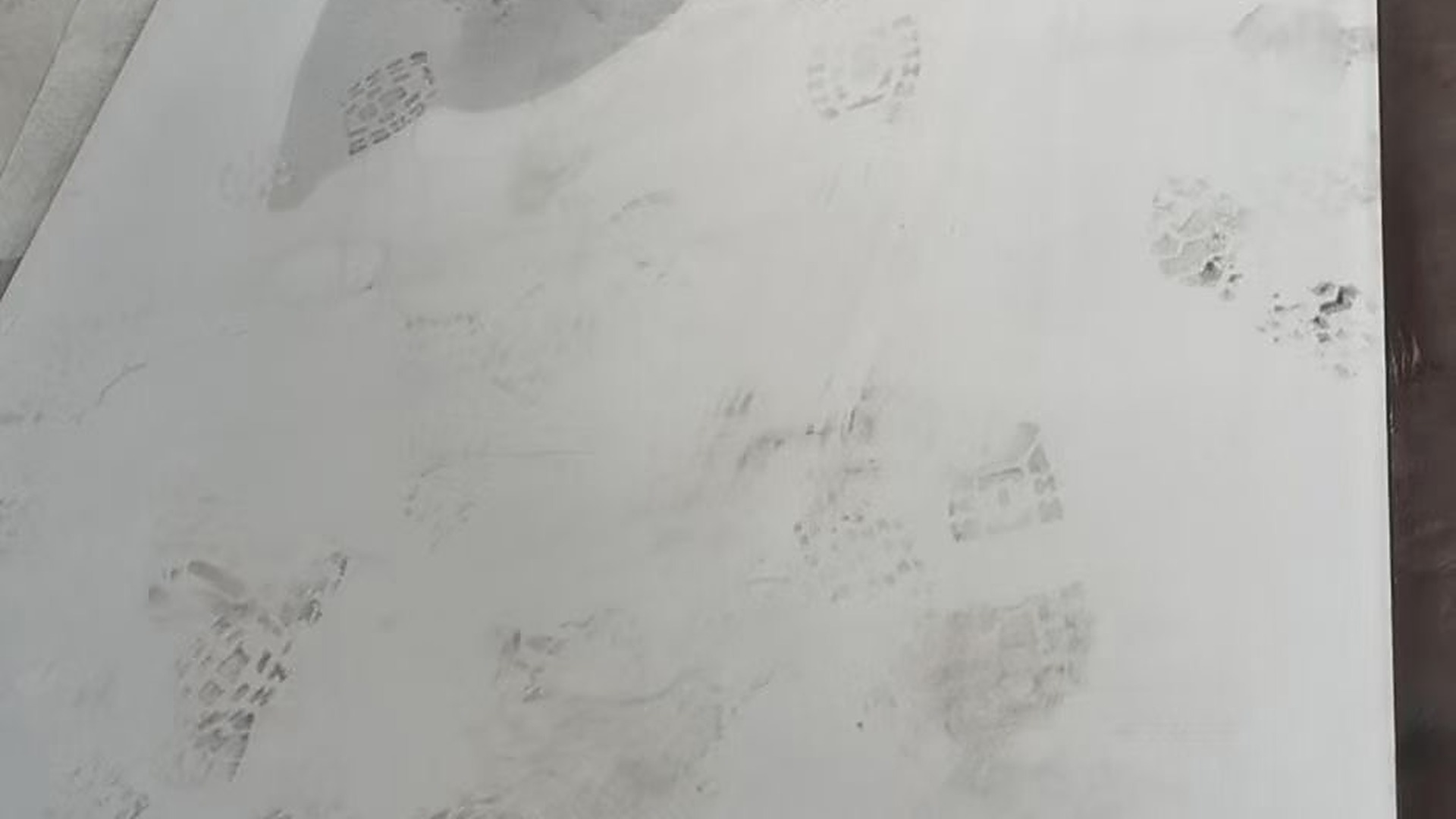 1.4501